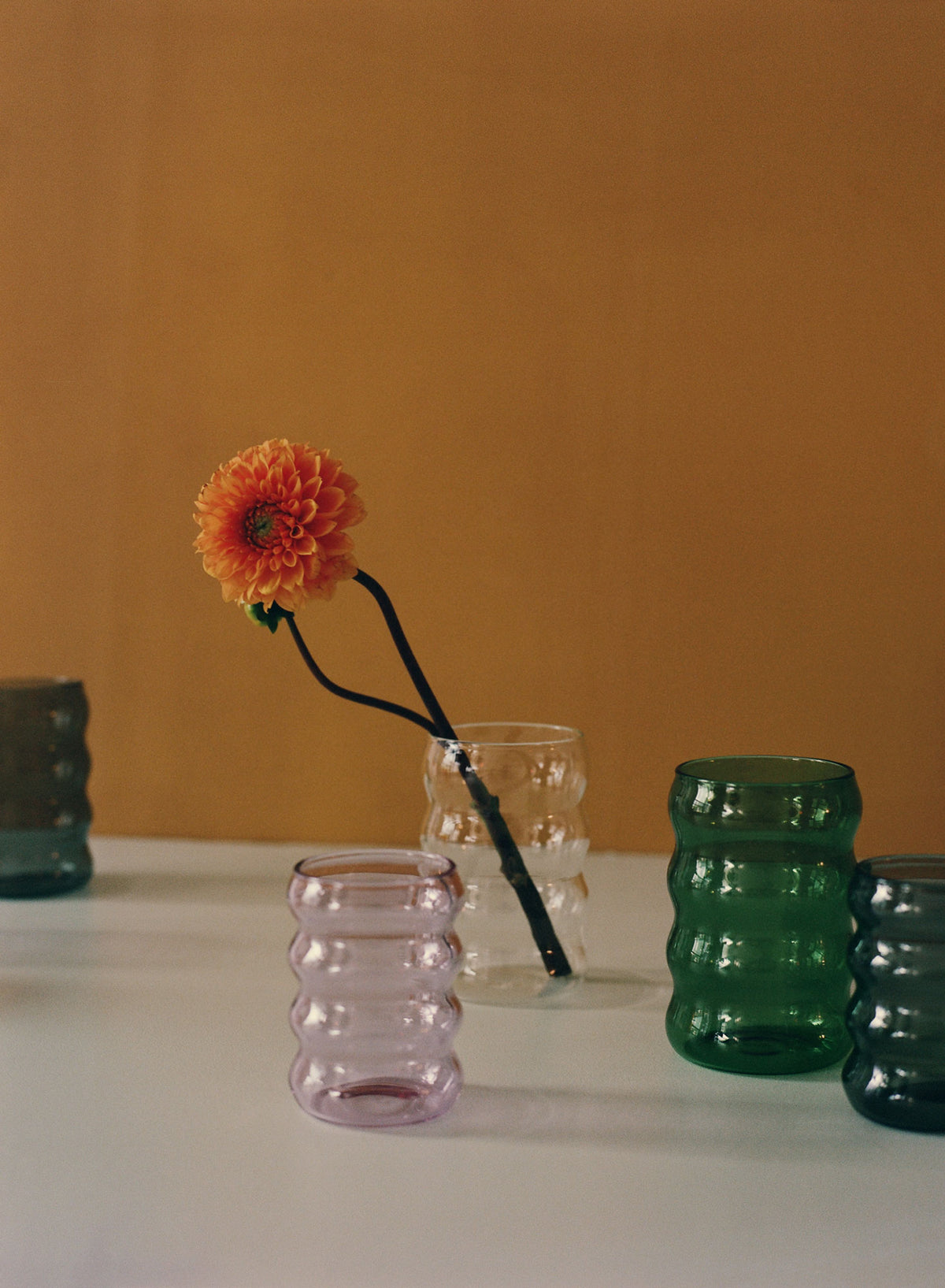 DELIGHTFUL EVERYDAY homeWARES