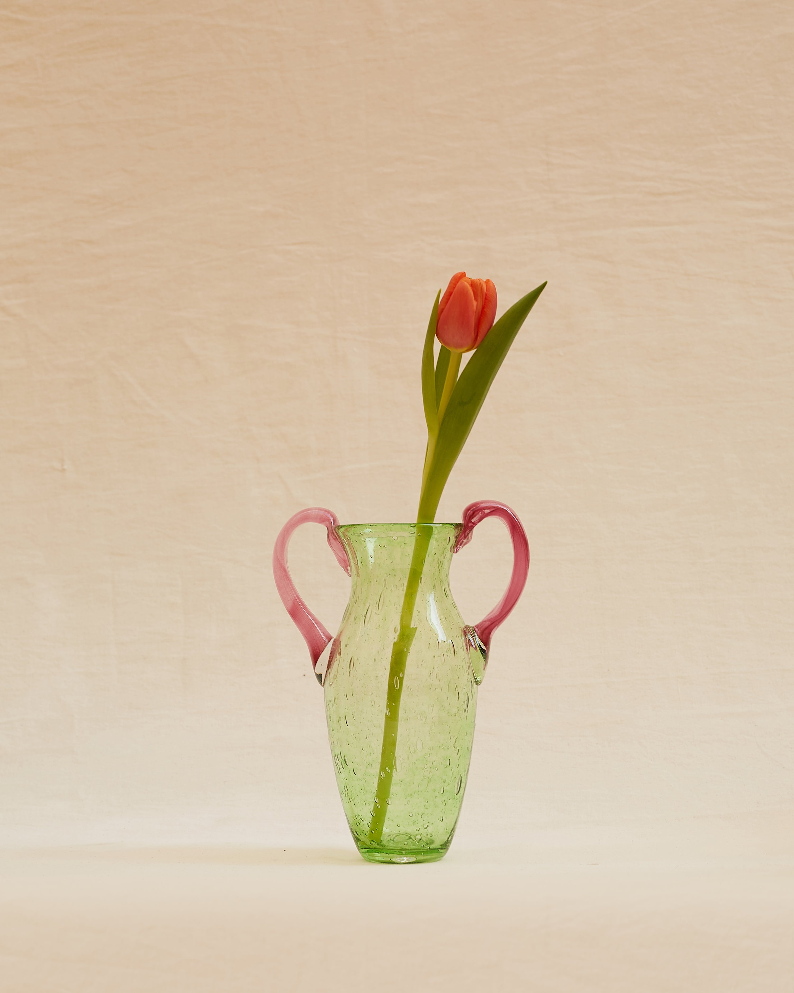 Le Petit Lagon Vert