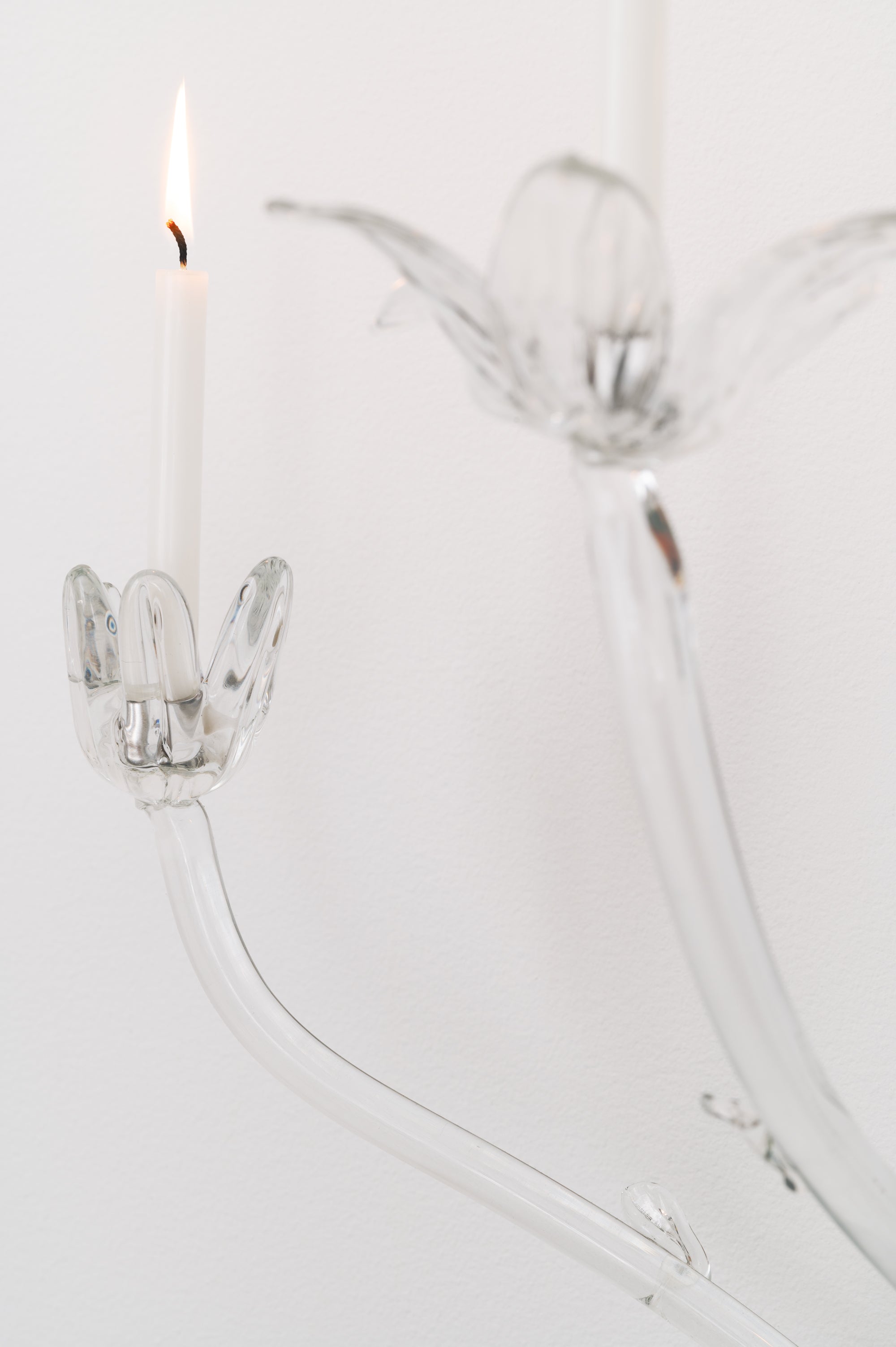 Tulipa Sconce