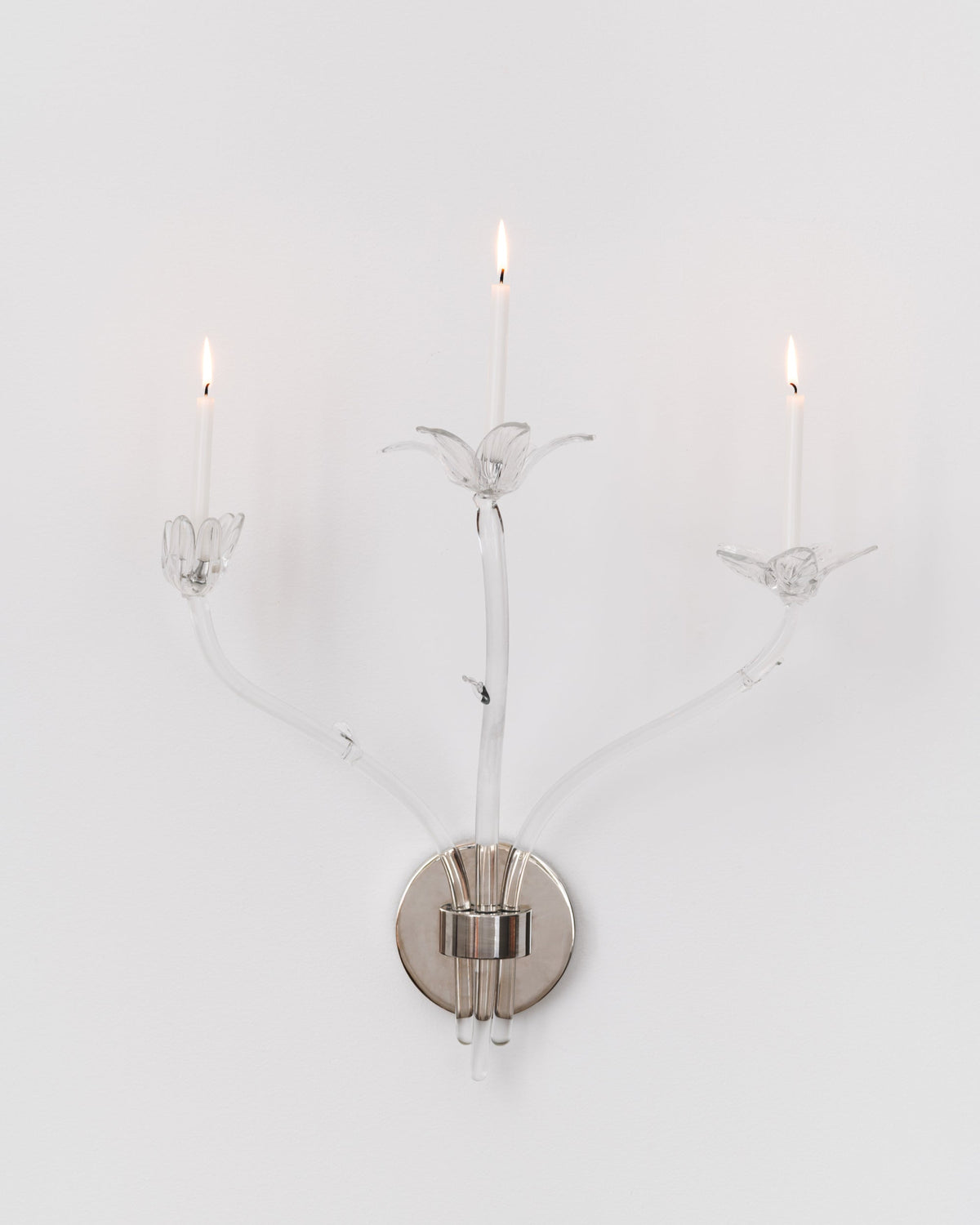 Tulipa Sconce
